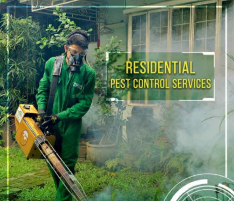 شركة مكافحة حشرات بالرياض