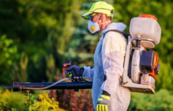 شركه رش مبيدات بالرياض